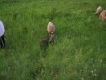 /album/beeeee/snimek-061-jpg/